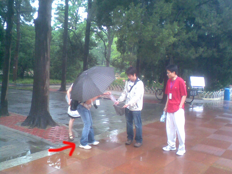 【2008/05/03】【碧沙岗清理白色污染活动总结】【煙の味道】